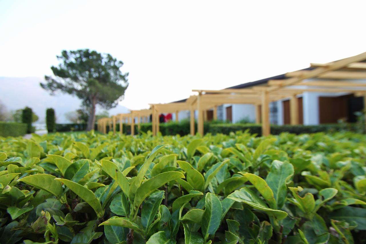 Hotel Bungalows Europa โดมาโซ ภายนอก รูปภาพ
